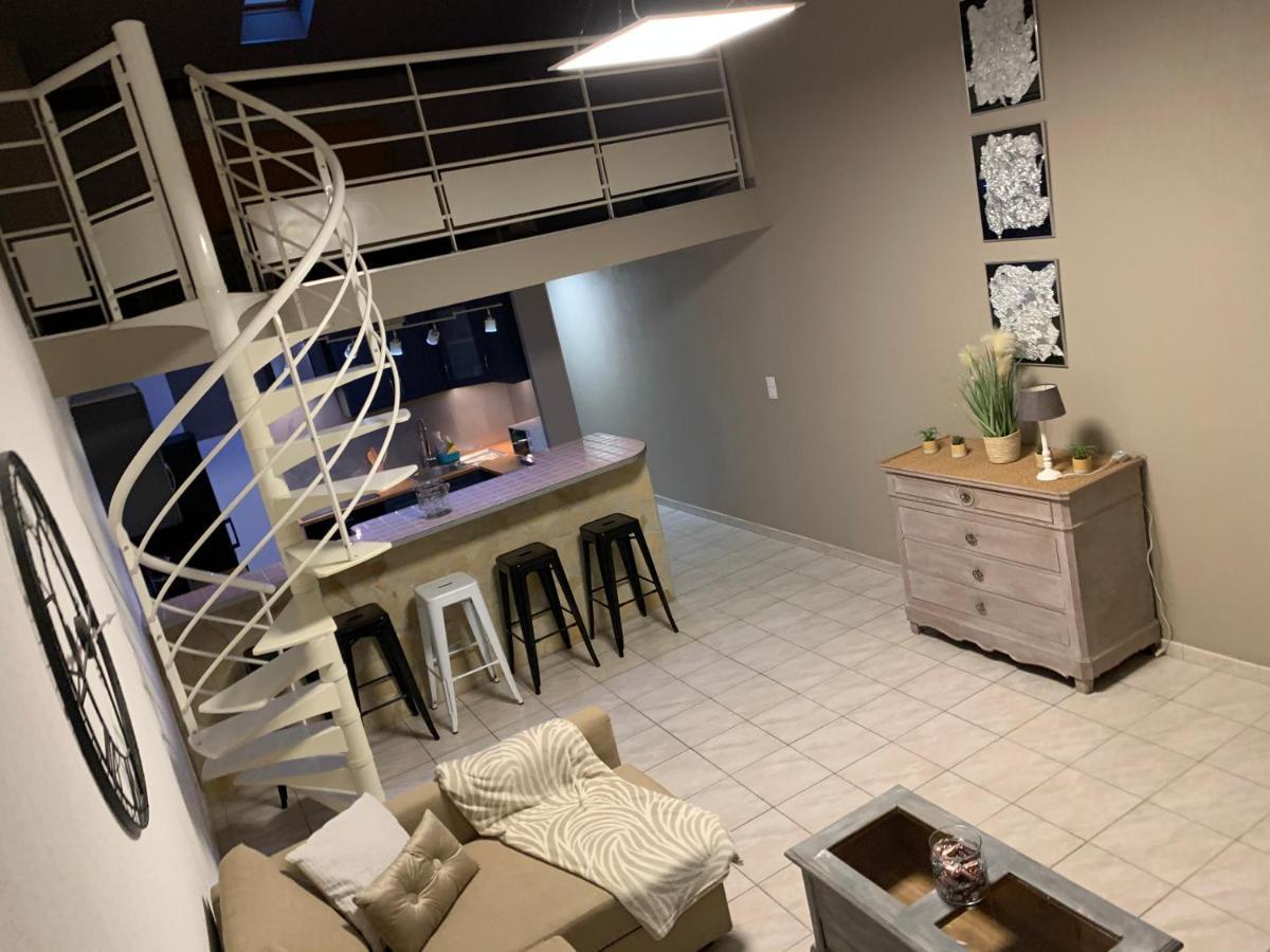 Appartement Vue Cite Medievale Καρκασόν Εξωτερικό φωτογραφία